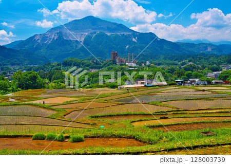 寺坂棚田から初夏の武甲山をのぞむ  寺坂棚田から初夏の武甲山をのぞむ  128003739