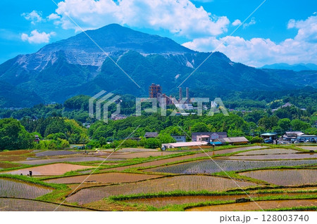 寺坂棚田から初夏の武甲山をのぞむ  寺坂棚田から初夏の武甲山をのぞむ  128003740