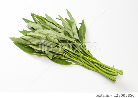 白背景に空芯菜 白背景に空芯菜 128003850