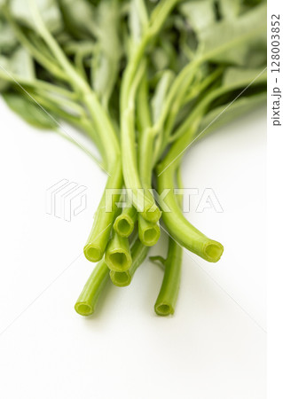 白背景に空芯菜 128003852