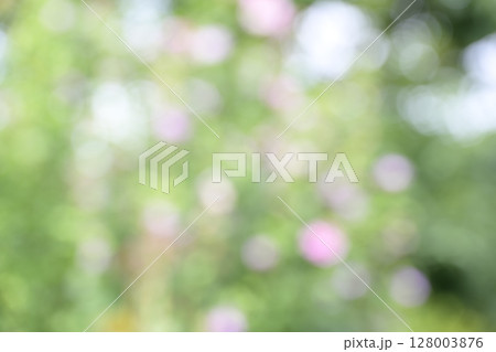 新緑 緑色 ピンク色 白色 玉ボケ 植物 花 アウトフォーカス 合成素材 128003876
