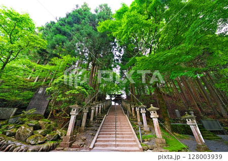 初夏の三峯神社 128003939