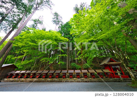 初夏の三峯神社 128004010
