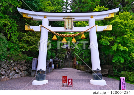 初夏の宝登山神社 128004284