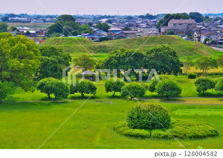 初夏のさきたま古墳公園、丸墓山から将軍山をのぞむ 128004582