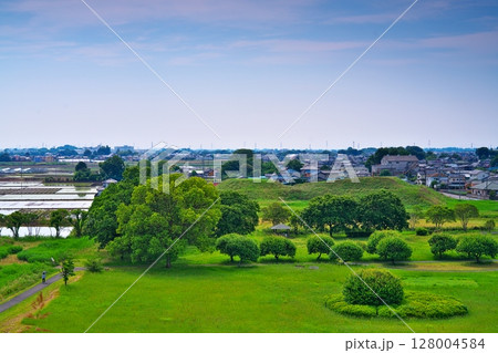 初夏のさきたま古墳公園、丸墓山から将軍山をのぞむ 128004584