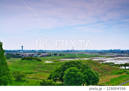 初夏のさきたま古墳公園、丸墓山から稲荷山をのぞむ 128004586