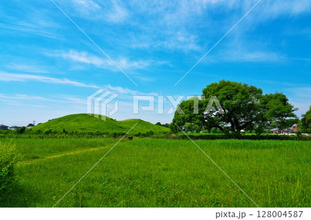 初夏のさきたま古墳公園、二子山古墳 128004587