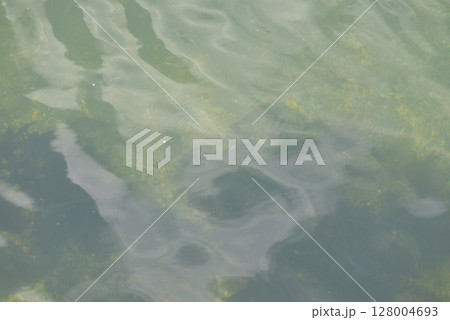 海 海 128004693