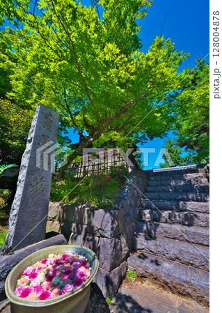 初夏の忍城 128004878