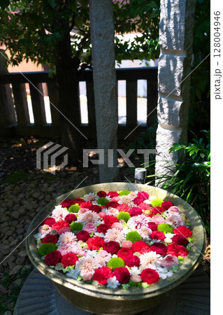 初夏の行田八幡神社　 128004946