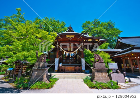 初夏の行田八幡神社　 128004952