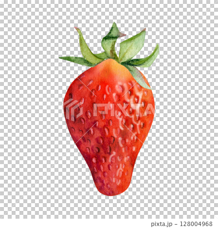 Strawberry ripe fruit with seeds, leaves crown receptacle, garden strasberry pineberry berry. Botanical isolated illustration hand drawn in watercolor. Home preserves cookbook, grocery store food menu Strawberry ripe fruit with seeds, leaves crown receptacle, garden strasberry pineberry berry. Botanical isolated illustration hand drawn in watercolor. Home preserves cookbook, grocery store food menu 128004968