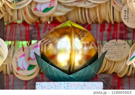 初夏の行田八幡神社　　 128005003