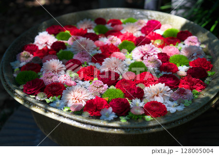 初夏の行田八幡神社　　 128005004