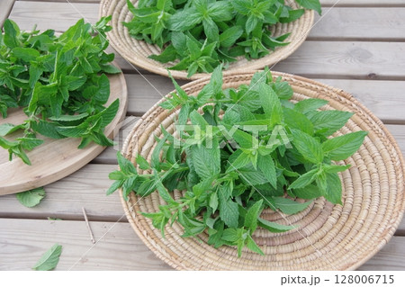 フレッシュなハーブ、スペアミント、ミント、新鮮なハーブ 128006715