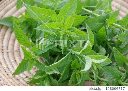 フレッシュなハーブ、スペアミント、ミント、新鮮なハーブ フレッシュなハーブ、スペアミント、ミント、新鮮なハーブ 128006717