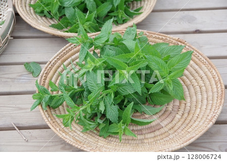 フレッシュなハーブ、スペアミント、ミント、新鮮なハーブ フレッシュなハーブ、スペアミント、ミント、新鮮なハーブ 128006724