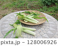 新鮮な野菜、ヤングコーン、収穫、農園のイメージ 128006926