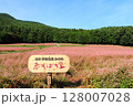 伊那・赤そばの里の立て札看板と花畑 128007028
