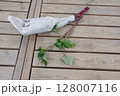 芋づる、苗、サツマイモの苗、植え付け、初夏、 128007116