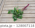 芋づる、苗、サツマイモの苗、植え付け、初夏、 128007118