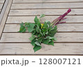 芋づる、苗、サツマイモの苗、植え付け、初夏、 128007121