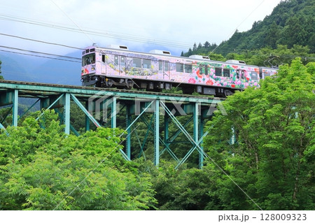 秩父鉄道「山間部の鉄橋を走る美しい花柄の電車」 128009323