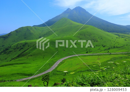 新緑の由布岳（由布市湯布院町） 128009453