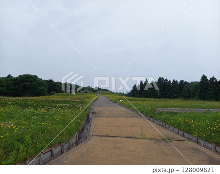 上ノ国勝山館　大手付近からの建物群 128009821