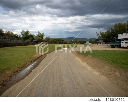 フィリピンのビガン 128010732