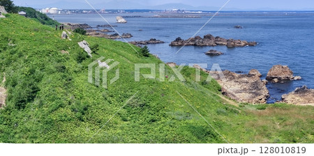 空撮「青森県」花咲く岬の風景 種差海岸 空撮「青森県」花咲く岬の風景 種差海岸 128010819