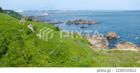 空撮「青森県」花咲く岬の風景 種差海岸 空撮「青森県」花咲く岬の風景 種差海岸 128010822