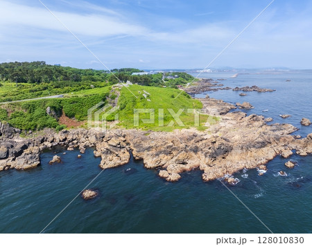 空撮「青森県」花咲く岬の風景　種差海岸 128010830