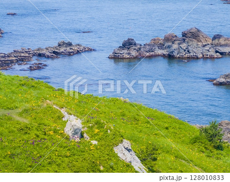 空撮「青森県」花咲く岬の風景　種差海岸 128010833