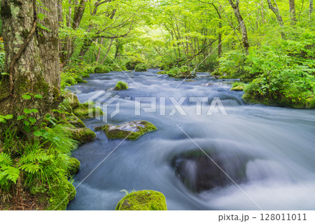「青森県」初夏の奥入瀬渓流の風景 十和田市 「青森県」初夏の奥入瀬渓流の風景 十和田市 128011011