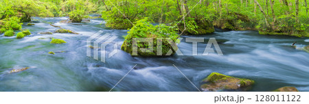 「青森県」初夏の奥入瀬渓流の風景 十和田市 「青森県」初夏の奥入瀬渓流の風景 十和田市 128011122