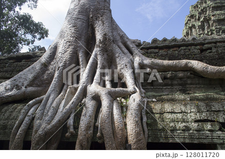 タ・プローム遺跡 128011720