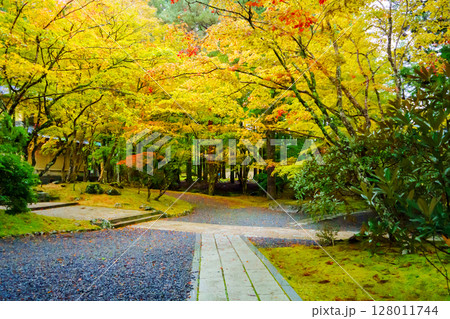 紅葉に包まれた高野山霊宝館 紅葉に包まれた高野山霊宝館 128011744