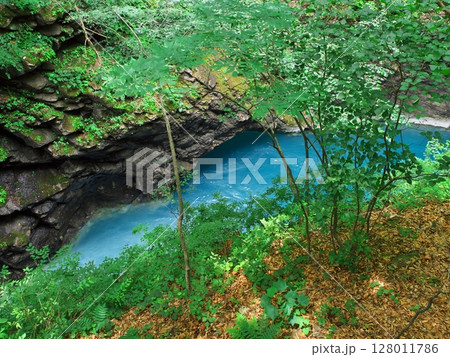 新緑あふれる群馬県　激流の吾妻峡 128011786