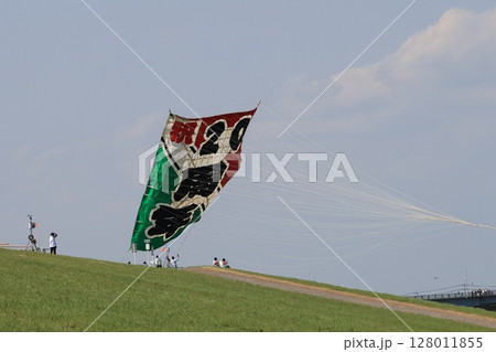 埼玉県春日部市の大凧上げの風景 128011855