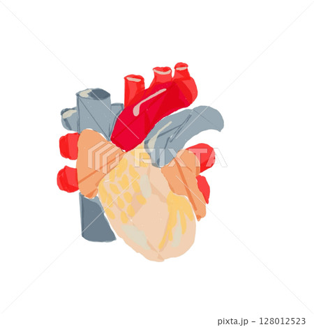 心臓の構造イラスト(血管付き) 心臓の構造イラスト(血管付き) 128012523