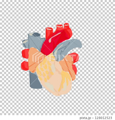心臓の構造イラスト(血管付き) 心臓の構造イラスト(血管付き) 128012523