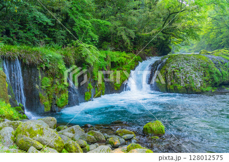 （熊本県）菊池渓谷　黎明の滝 128012575