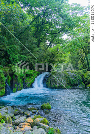 （熊本県）菊池渓谷　黎明の滝 128012576