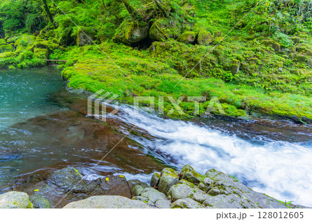 (熊本県)菊池渓谷 黎明の滝(下流部) (熊本県)菊池渓谷 黎明の滝(下流部) 128012605