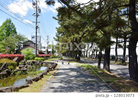 愛知県 知立の松並木と側道と池 愛知県 知立の松並木と側道と池 128013073