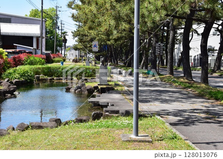 愛知県　知立の松並木と側道と池 128013076
