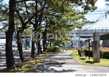 愛知県 知立の松並木牛田方面と側道と観光案内板 愛知県 知立の松並木牛田方面と側道と観光案内板 128013078