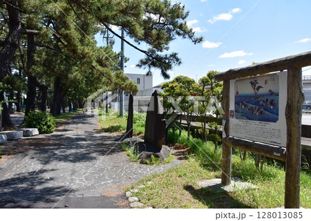 愛知県 知立の松並木の観光案内板と馬市の碑 愛知県 知立の松並木の観光案内板と馬市の碑 128013085